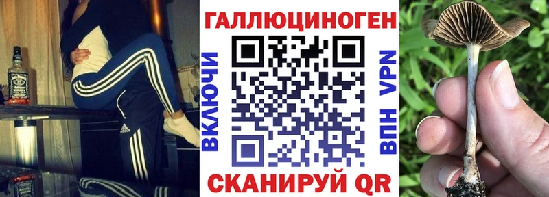 ОМГ ОМГ ссылки  где продают   Кохма  Галлюциногенные грибы Cubensis 