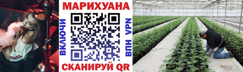 MEGA маркетплейс  Кохма  Бошки Шишки White Widow 